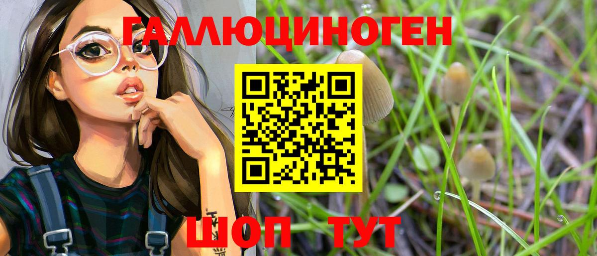 Псилоцибиновые грибы прущие грибы Вязники
